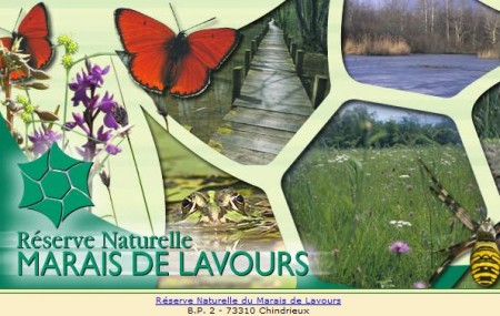 Marais de Lavours